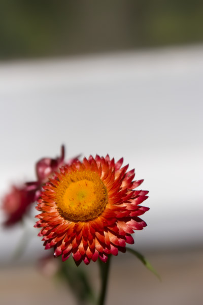 IMG_8791.jpg