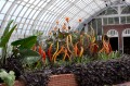 IMG_8481.jpg