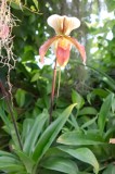 IMG_8580.jpg