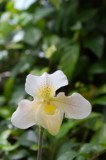 IMG_8585.jpg